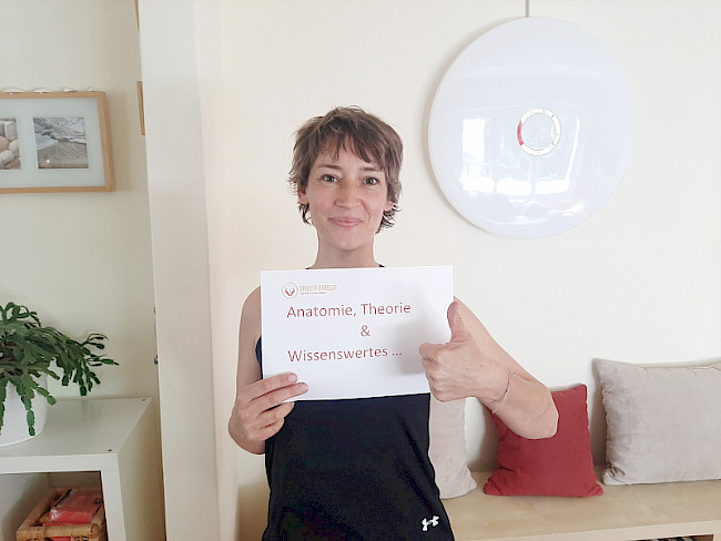 Anatomischer Blick Teil 3