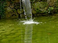 Erkrankungen von Nieren und Blase