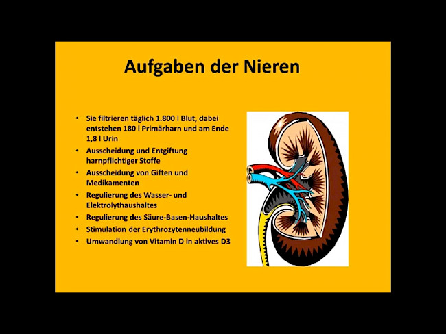 Einführung in das Thema