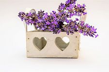 Beruhigung, Herz/Kreislauf