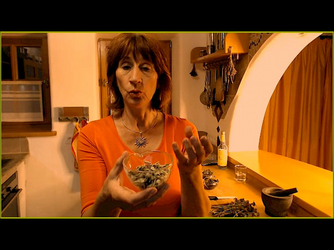 Tinkturen herstellen