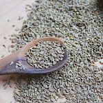 Husten-Workshop Tag 3