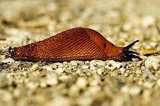 Husten-Workshop Tag 4