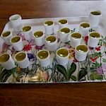 Praxisteil Herbst - Cystus-Zitronen-Nasensalbe