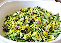 Rezepte für das Frühjahr