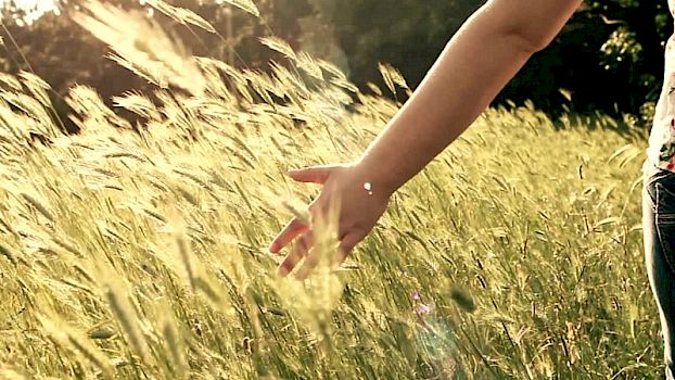 Scheidung - Ihre Reise beginnt (kostenlos)