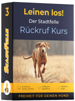 Leinen los! Das Stadtfelle Rückruf Training