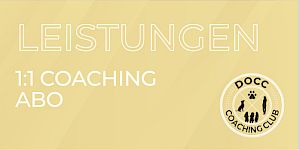 Die Leistungen im Coachingclub