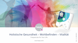 Kurz-Präsentation Healy