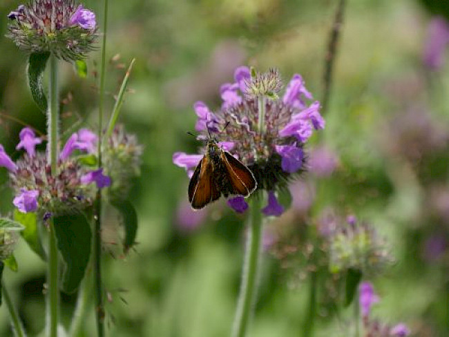 Abschlussmeeting 9.5.22 Gruppe 1